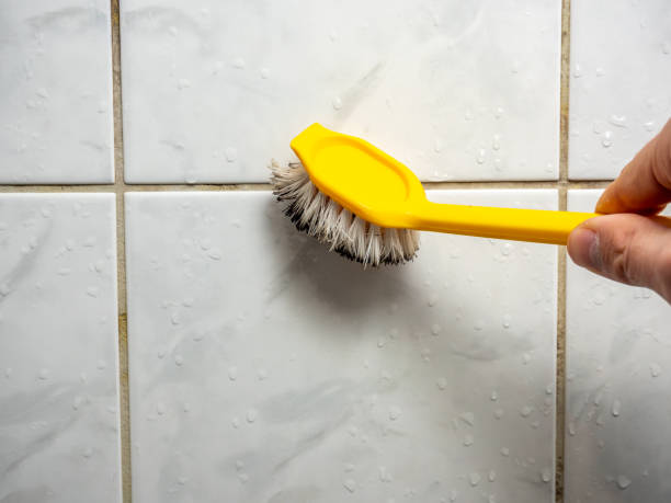 Best Mold Remediation  in Russellville, AR