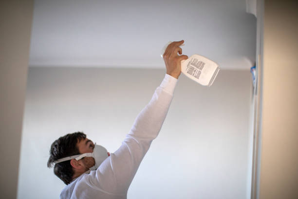 Best Office Mold Removal Services  in Russellville, AR