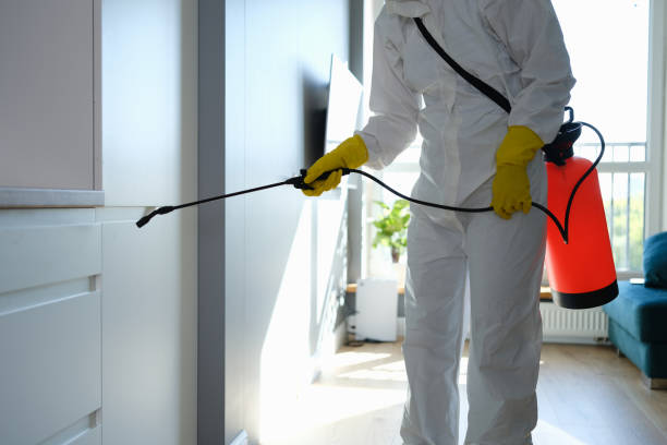 Best Crawl Space Mold Removal  in Russellville, AR