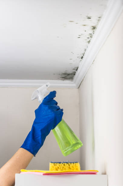 Best Crawl Space Mold Removal  in Russellville, AR